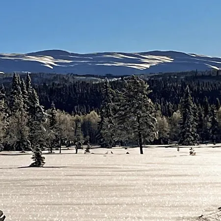 Beautiful In Tisleidalen With Indoor Swimming Pool, Sauna And Wifi Apartman