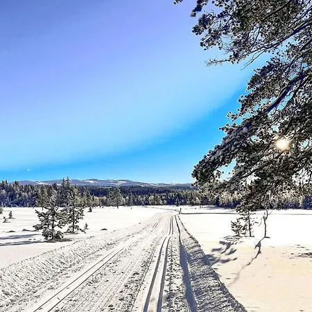 Beautiful In Tisleidalen With Indoor Swimming Pool, Sauna And Wifi