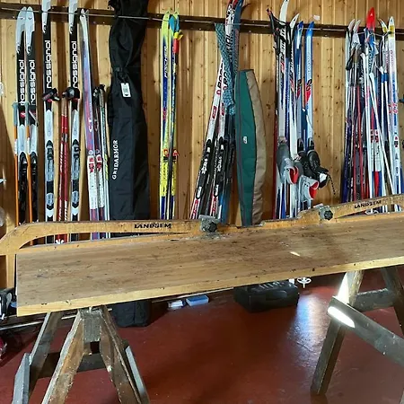 Apartman Cozy In Tisleidalen With Wifi Golsfjellet